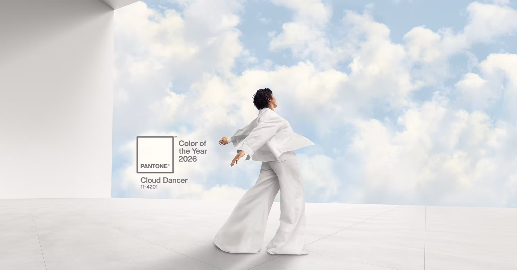 CLOUD DANCER: 2026 წლის მთავარი ფერი