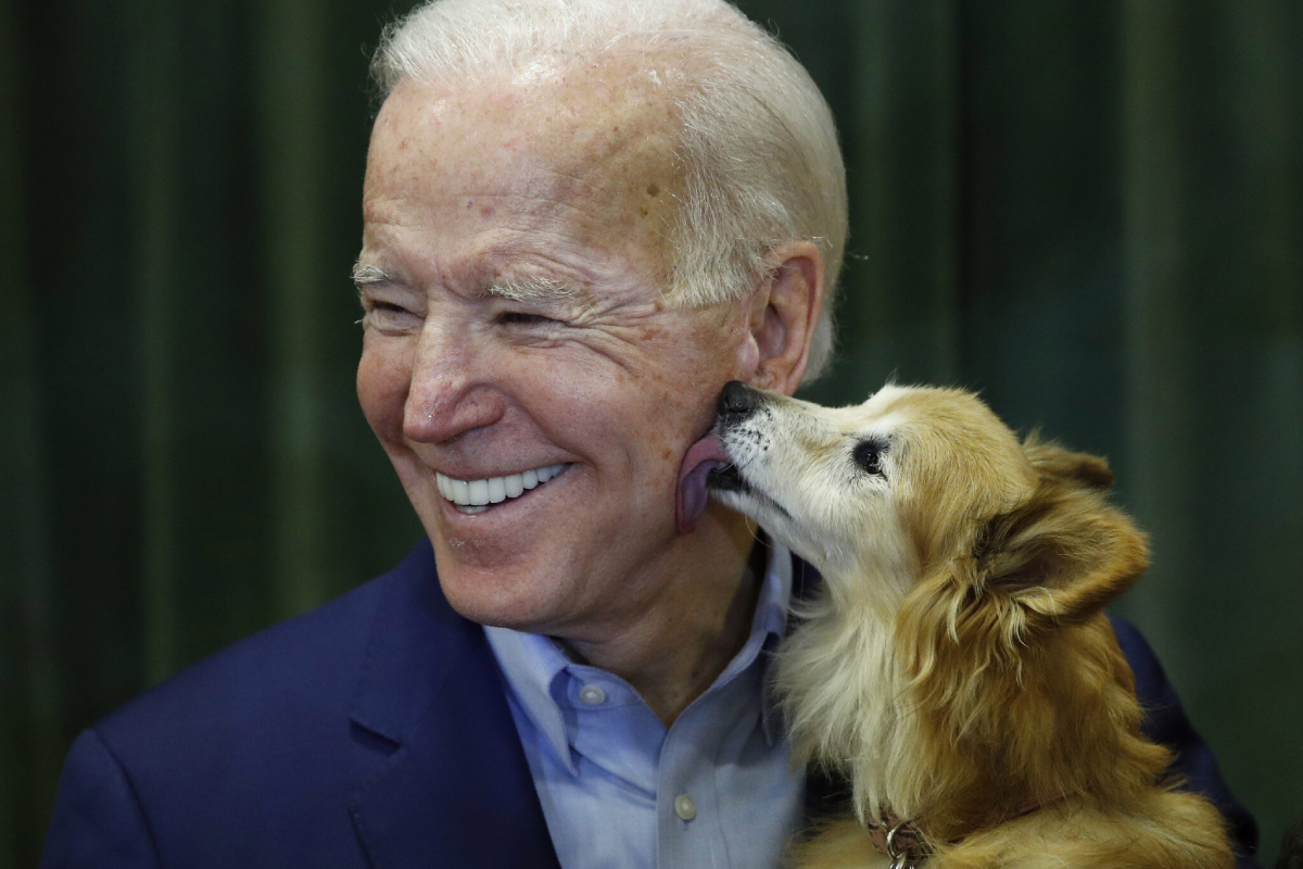 გაიცანით ჯო, რომელსაც უყვარს ძაღლები, ნაყინი და ამერიკა!-პრეზიდენტის ისტორია