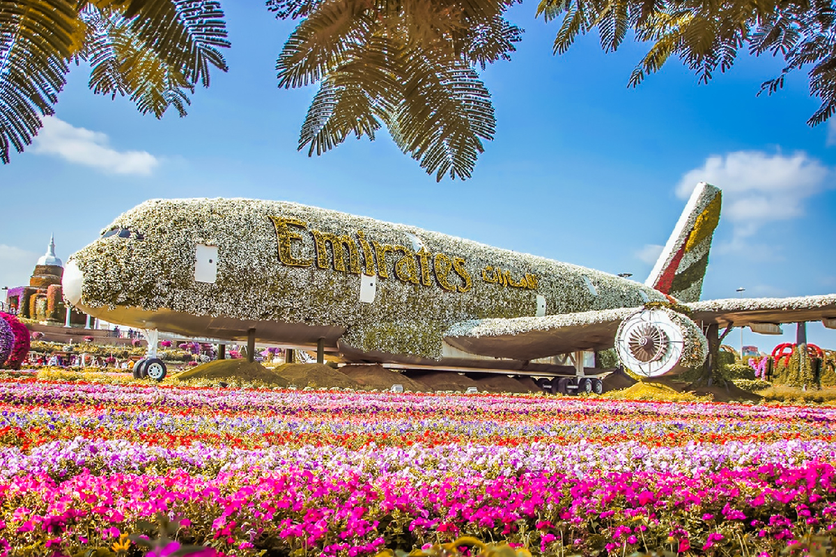 emirates,plane,miracle garden,duvai,visit dubai,flower plane,