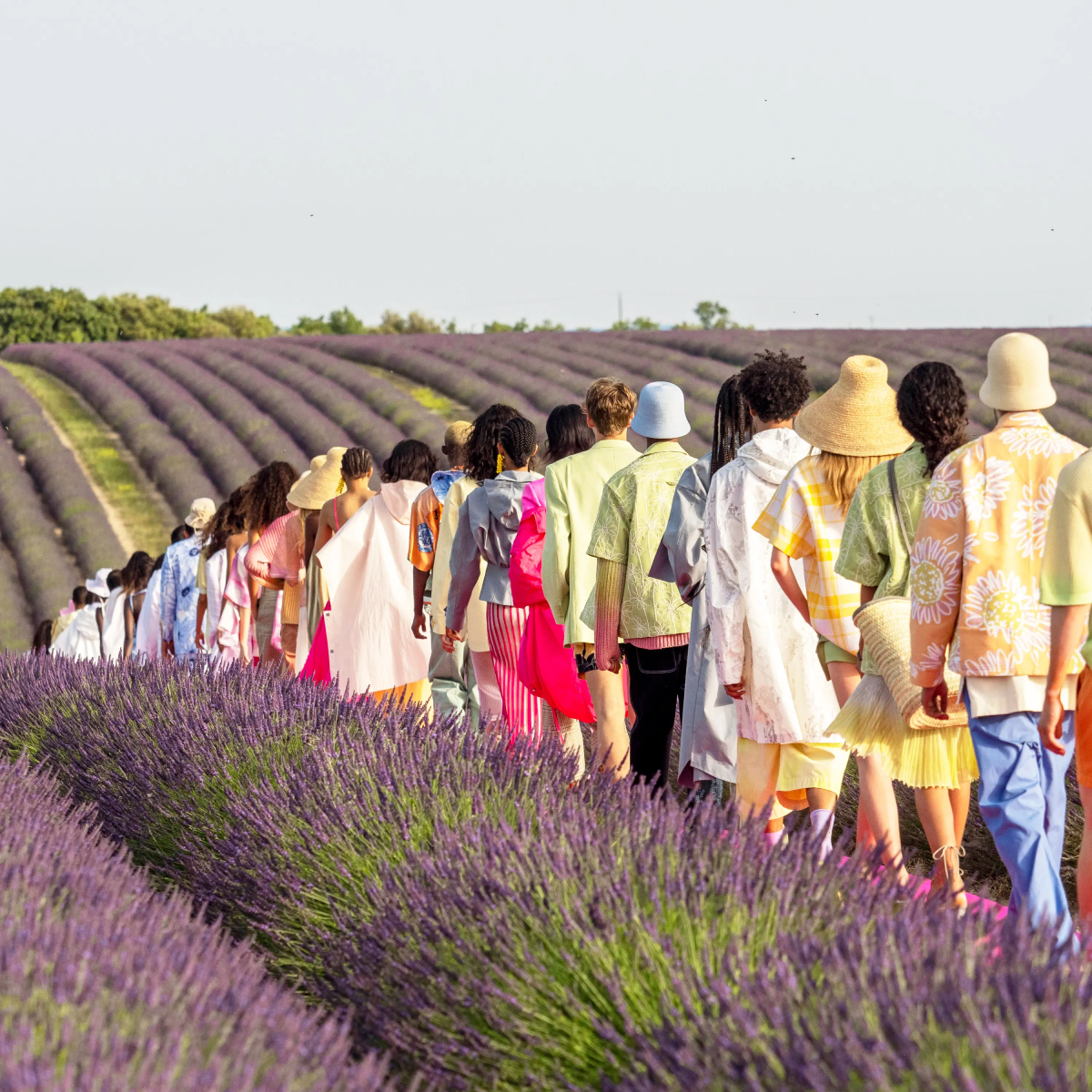 field of lavender, jacquemus fashion show, jacquemus 10th anniversary