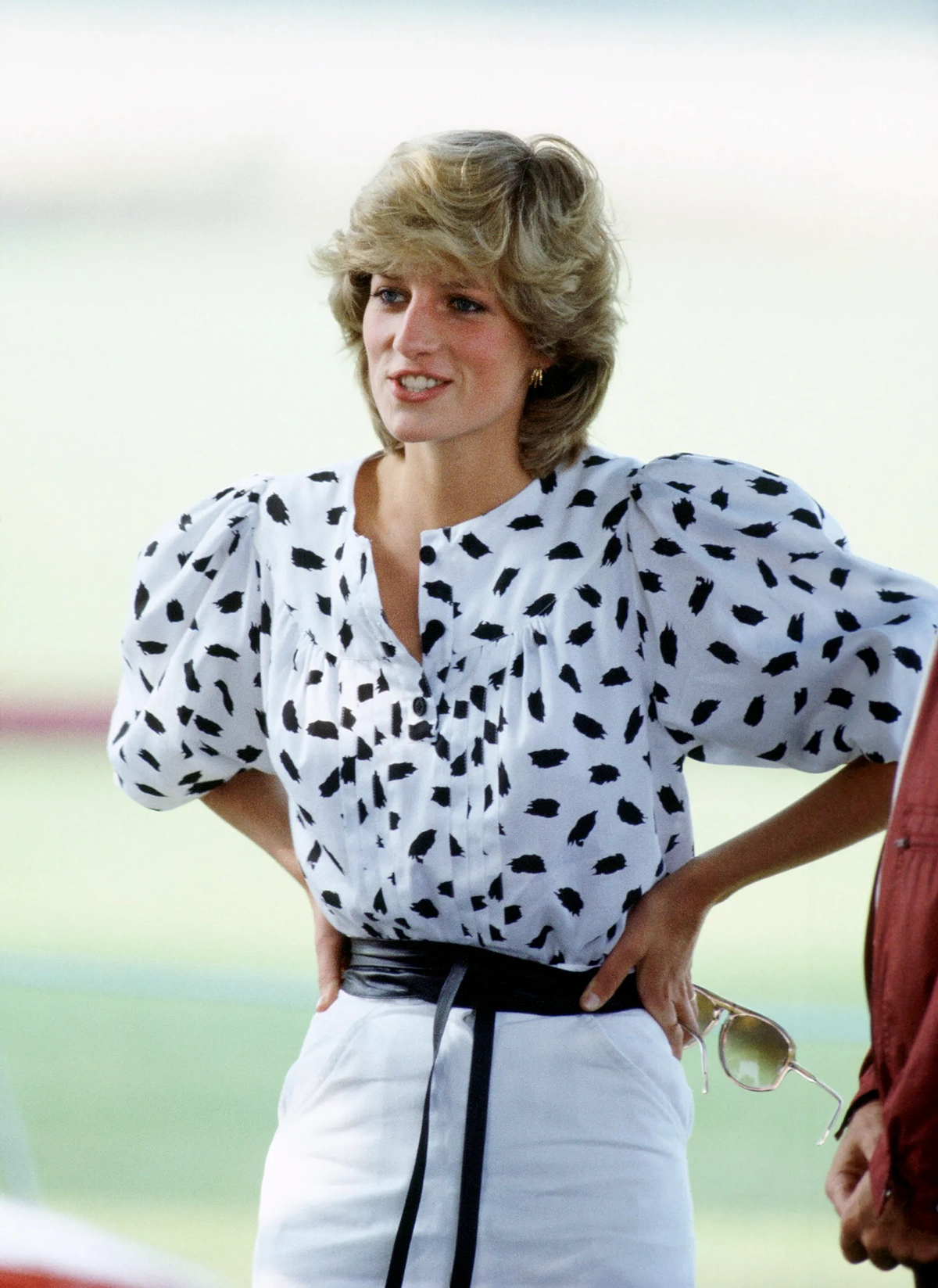 princess diana, პრინცესა დიანა