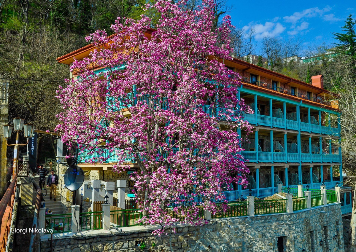 Magnolia Kutaisi, მაგნოლია, რესტორანი მაგნოლია, ქუთაისი მაგნოლია