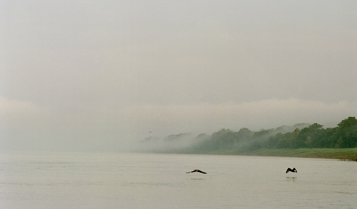 Erekle Bagashvili, ერეკლე ბაღაშვილი